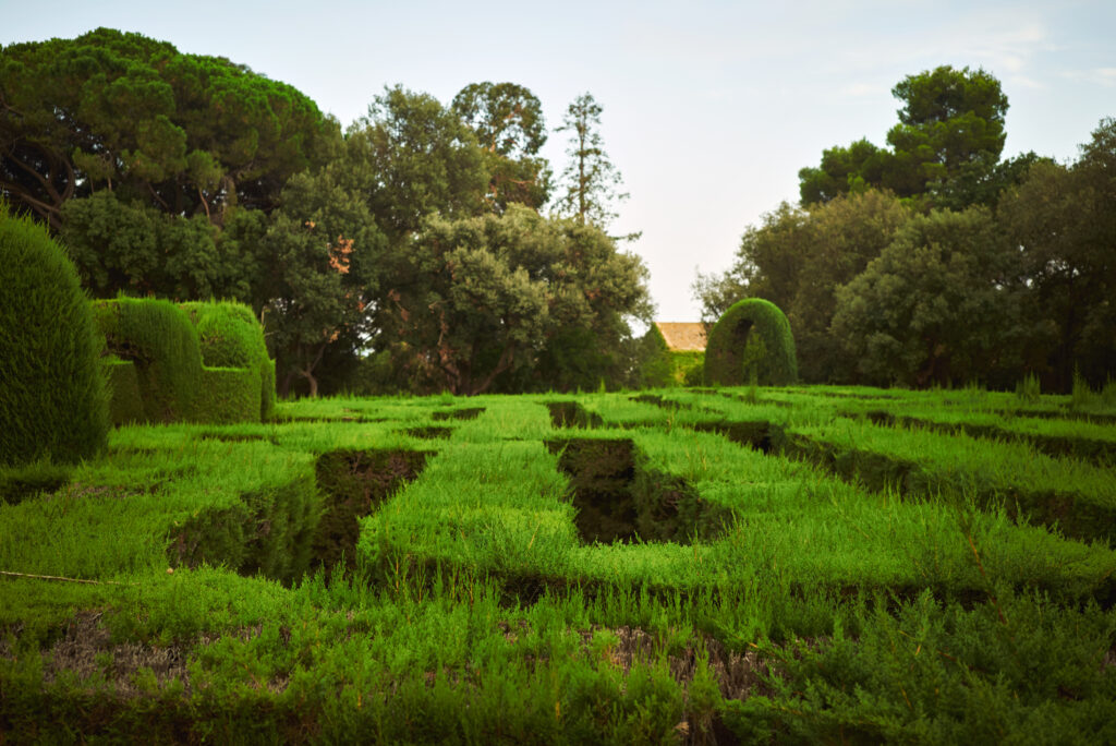 Vivid green park labyrinth and mature trees in the background on a clear evening